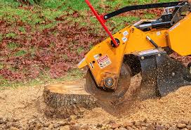 Grass Overseeding in Tumwater, WA